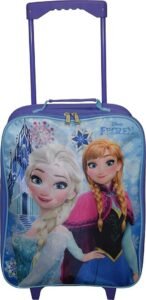 Enchanting Ruz Disney Frozen Pilot Case Review